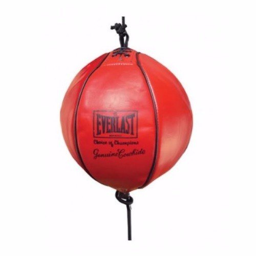 שק כדור EVERLAST  לרצפה ולתקרה