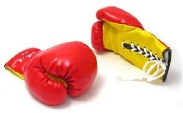 כפפות איגרוף מבית CITYSPORT