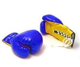 כפפות איגרוף מבית CITYSPORT