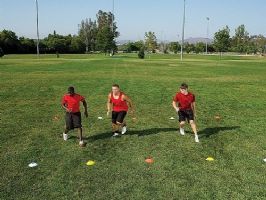 כיפות סימון לאימון - AGILITY CONES4