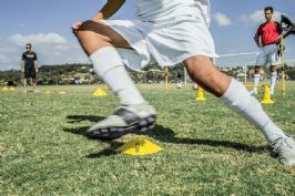 קונוסים מקצועיים לאימון - PRO TRAINING AGILITY CONES - 6 INCH2
