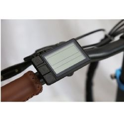 אופניים חשמליים אולטימטיביים 484927 BEAR קונינג