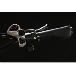 אופניים חשמליים מתקפלים 48V 484932 EAGLE קונינג