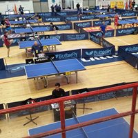 מחיצות טניס שולחן 602108 Butterfly