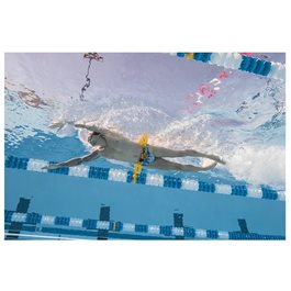 חגורת טכניקה למים 232353 דגם  Hydro Hip מבית FINIS