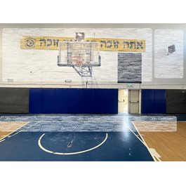 ריפוד הגנה לקיר לאולם ספורט 283056 מבית CITYSPORT