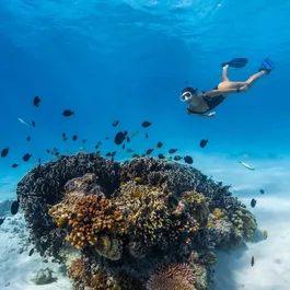 שעון מולטי ספורט 242290 דגם Peak Pro9 מבית סונטו SUUNTO Rearl Gold