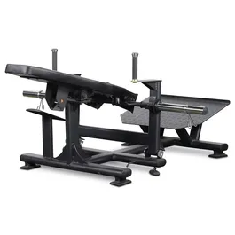 מכשיר היפ טראסט מקצועי 242872 מבית CITYSPORT