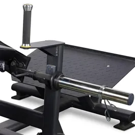 מכשיר היפ טראסט מקצועי 242872 מבית CITYSPORT