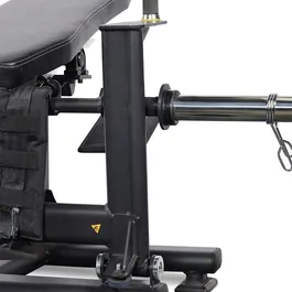 מכשיר היפ טראסט מקצועי 242872 מבית CITYSPORT