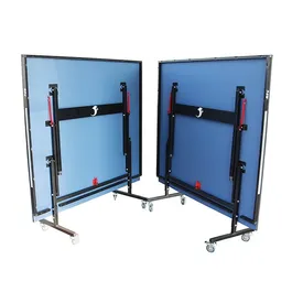 שולחן פינג פונג חוץ 250156 מבית CITYSPORT