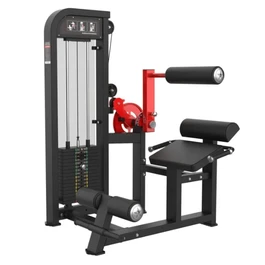 מכשיר גב תחתון/בטן 250318 מבית CITYSPORT