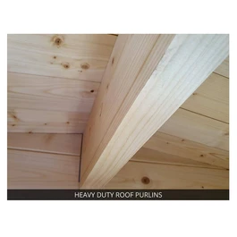 מחסן עץ פרמיום 250922 בגודל 4/3 מטר בעובי 45, דגם TERMINATOR מבית DUNSTER HOUSE