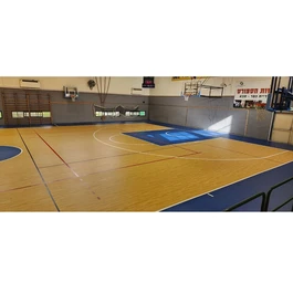 רצפת ספורט 251015 PVC רב תכליתית GERFLOR TARAFLEX