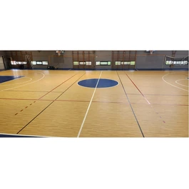 רצפת ספורט 251015 PVC רב תכליתית GERFLOR TARAFLEX