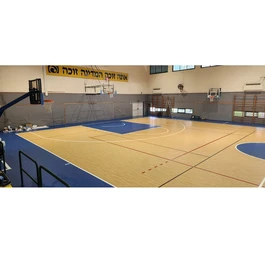 רצפת ספורט 251015 PVC רב תכליתית GERFLOR TARAFLEX