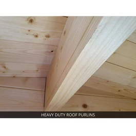 מחסן עץ 251085 בגודל 6/3 מטר בעובי 45, דגם TERMINATOR מבית DUNSTER HOUSE