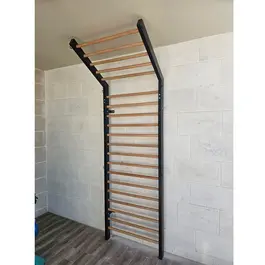 סולם כושר שוודי מקצועי רב תכליתי 880136 ברזל משולב עץ מבית CITYSPORT