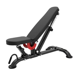 ספסל כושר מקצועי פרמיום 250980 מבית CITYSPORT