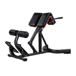 כיסא רומי מקצועי 250986 לחיזוק זוקפי הגב והליבה מבית CITYSPORT